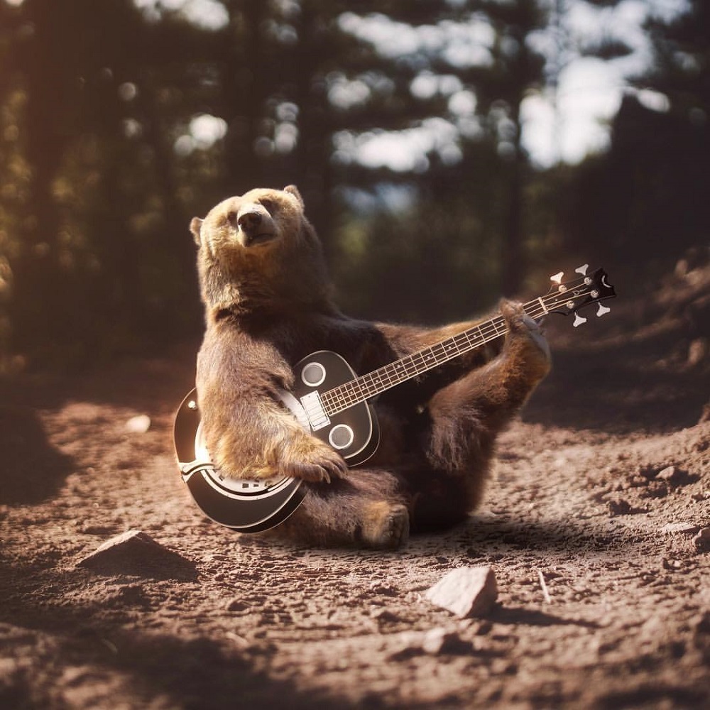 bear playing guitar manipulation