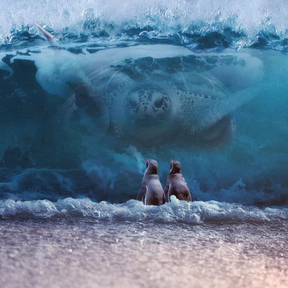 giant turtle in ocean