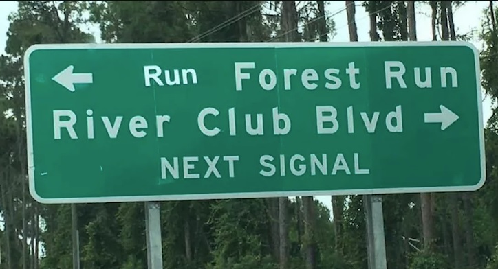 forest gump Forest Gump