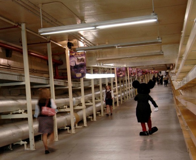 At Disney World, the backstage actually stinks At Disney World, the backstage actually stinks