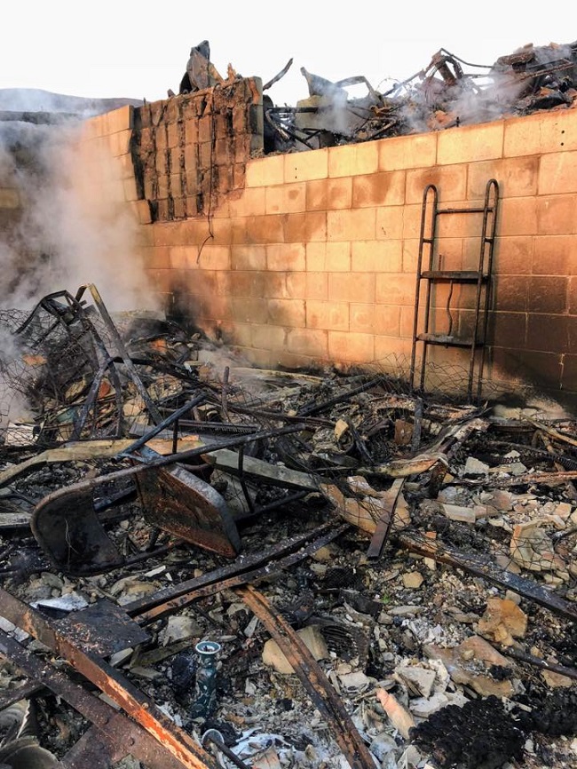 lost their wedding ring lost their wedding ring