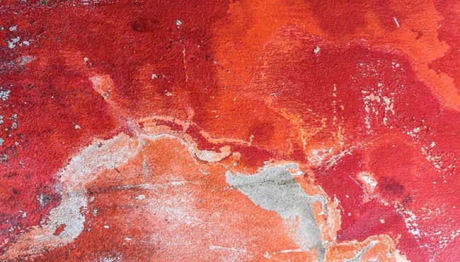 mix of gray and red mix of gray and red