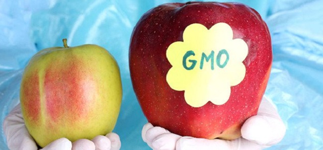 Products containing GMO are dangerous Products containing GMO are dangerous