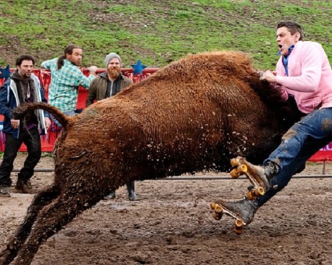 stuntman and Jackass stuntman and Jackass