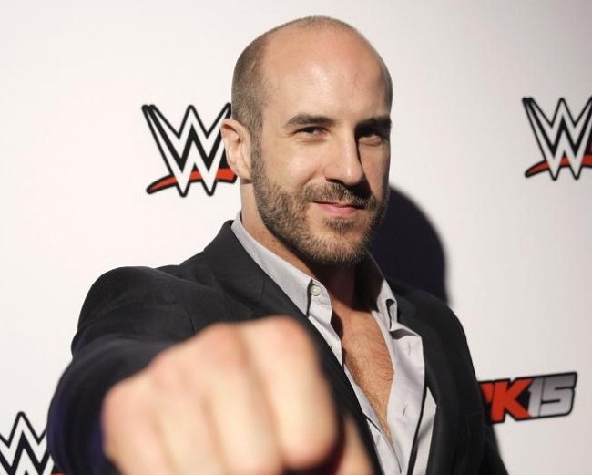 There are many studies which concludes that bald men are more masculine There are many studies which concludes that bald men are more masculine