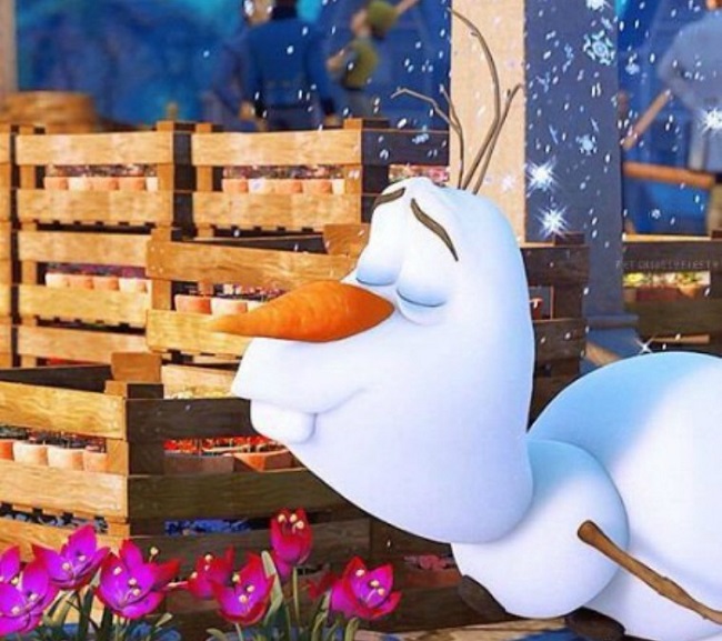 There is a pleasant smell all around the park There is a pleasant smell all around the park