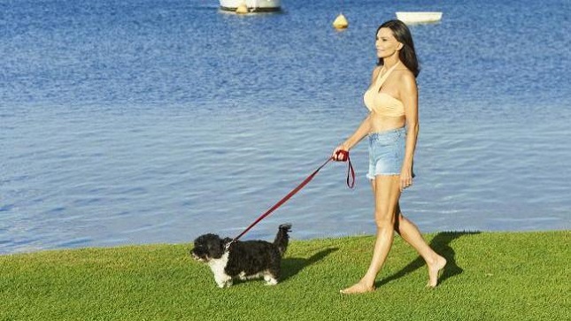 walking with the dog