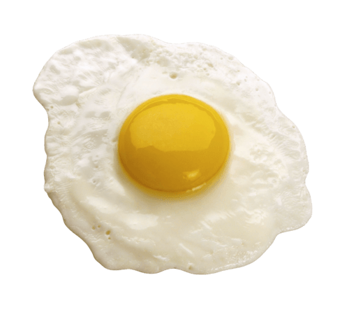 Egg yolk Egg yolk