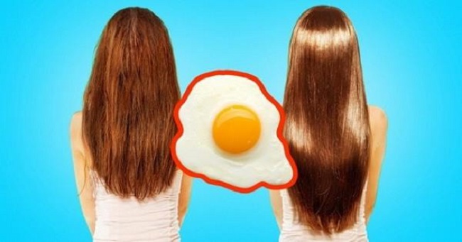 Eggs best food for healthy hair