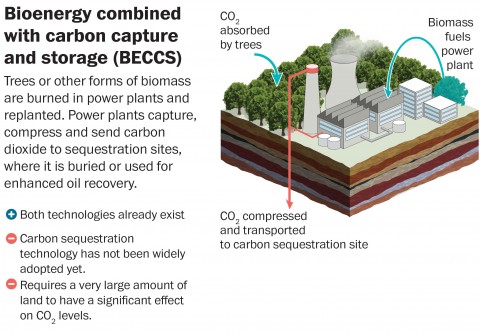 How viable is this Bioenergy How viable is this Bioenergy