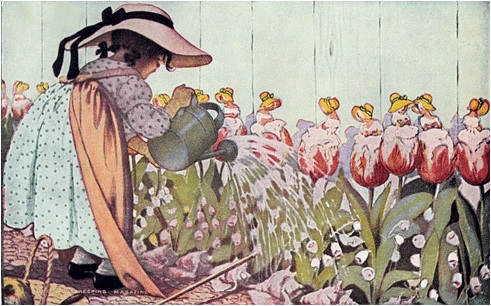 Mary Mary Quite Contrary Mary Mary Quite Contrary