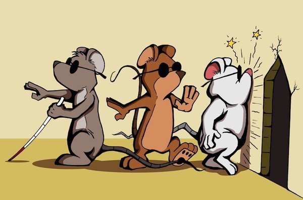 Three Blind Mice Three Blind Mice