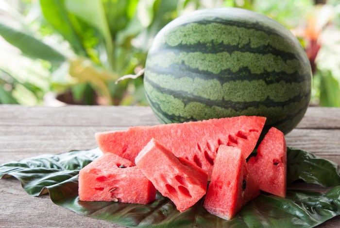 Watermelon Watermelon