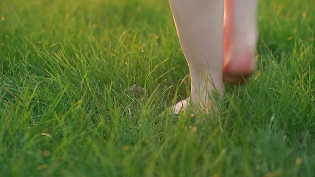 Walking barefoot on grass Walking barefoot on grass