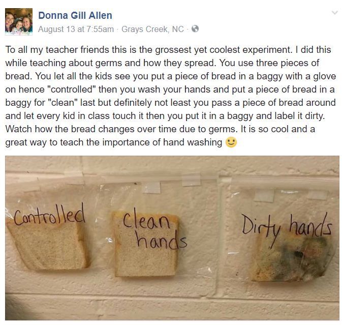 Washing hands bread experiment Washing hands bread experiment
