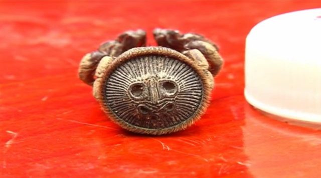 hourglass spider1 hourglass spider