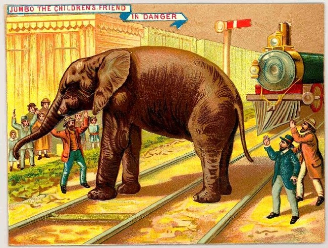 Barnum was teetotaler but his elephant was known for drinking keg of beer at one go Barnum was teetotaler but his elephant was known for drinking keg of beer at one go
