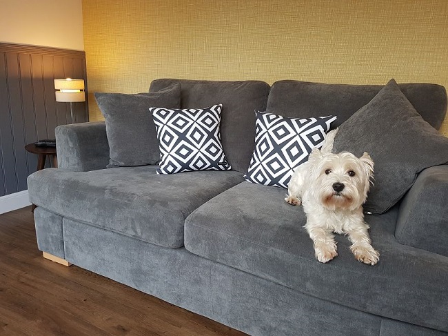 Feature wallpaper was pasted on the wall of the room1 Feature wallpaper was pasted on the wall of the room1