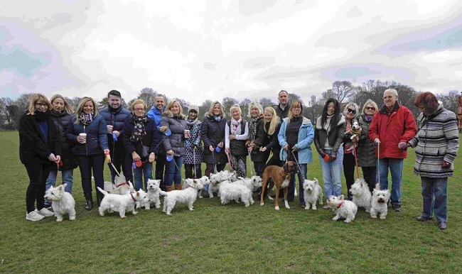 The Brighton dog community have rallied together to protect their dogs