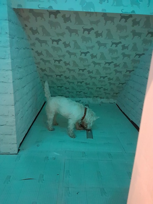 The door looked just perfect when it was completed The door looked just perfect when it was completed