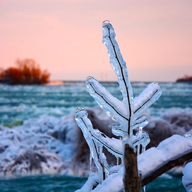 The Niagara Falls has been in frozen state and all the plants around it is not spared