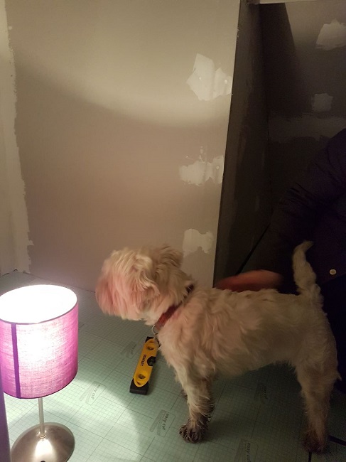 They cut the wall in a manner that it looked like a door1