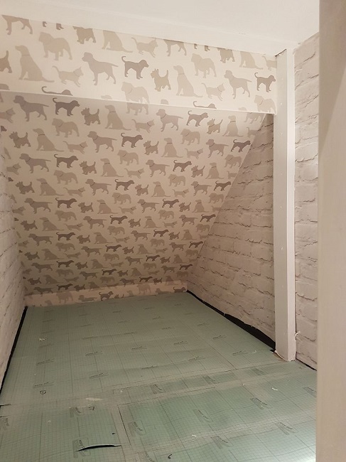 They wanted to make sure that space is not cramped up for Molly They wanted to make sure that space is not cramped up for Molly