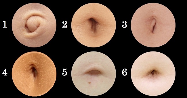 Facts About Belly Buttons 