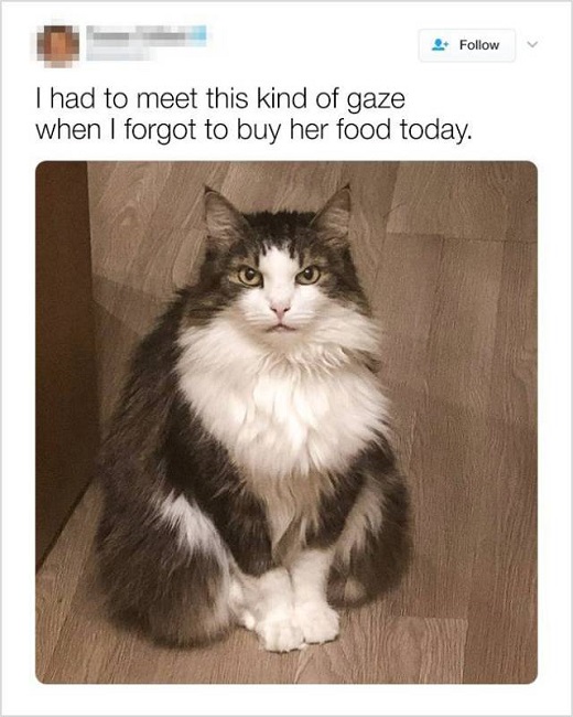 A wry look is what you get when you forget something