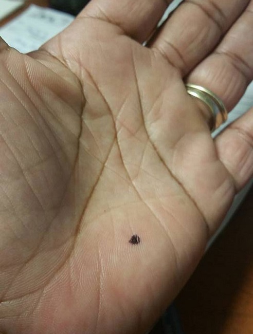 Abusers might also get aware about the campaign Abusers might also get aware about the campaign