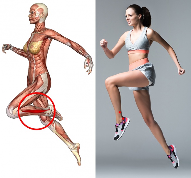 Ankle pressure point Ankle pressure point