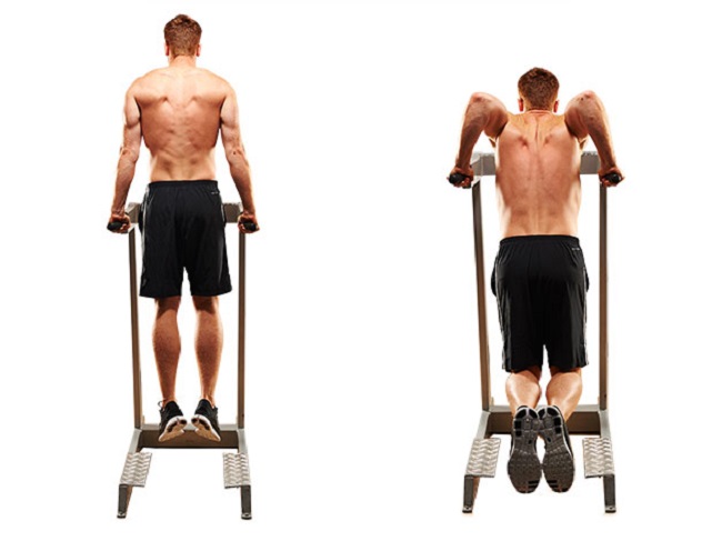 Assisted parallel bar dips Assisted parallel bar dips