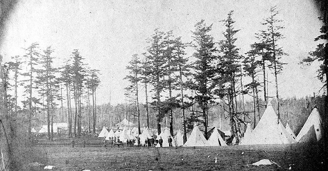 Britishers and Americans started to share land on the San Juan island