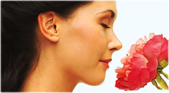 Compared To Other Senses, The Sense Of Smell Is Linked Closest To Memories