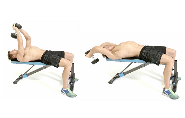 Dumb-bell Pullover Dumb-bell Pullover