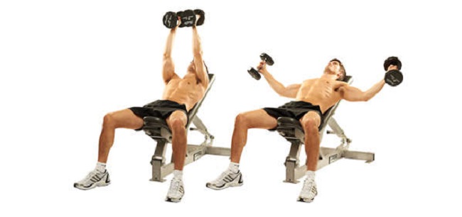 Dumbbell Incline Fly Dumbbell Incline Fly