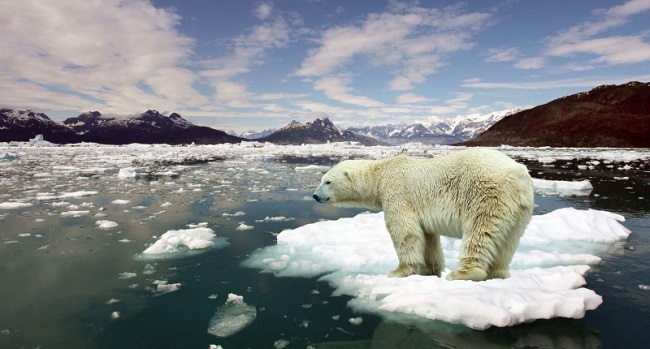 Edwards said, “I was standing on a huge wooden platform” Edwards said, “I was standing on a huge wooden platform”
