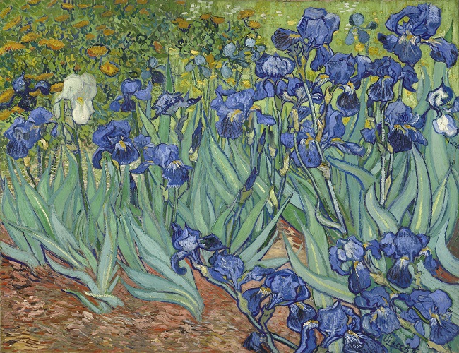 Irises, Van Gogh