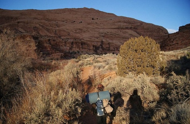 Suelo’s Thoughts On Money,  the Capitalist System and the Real Life