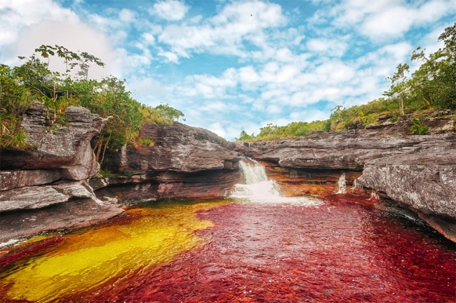 The multi colored river in Colombia The multi colored river in Colombia