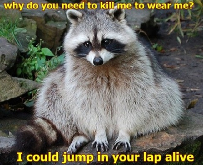 animal deaths to make one fur coat animal deaths to make one fur coat