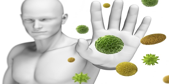 Fasting kickstarted immunity cells Fasting kickstarted immunity cells