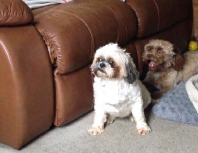 friends who noticed it friends who noticed it