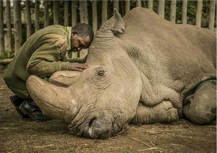 He suffered from multiple infections He suffered from multiple infections