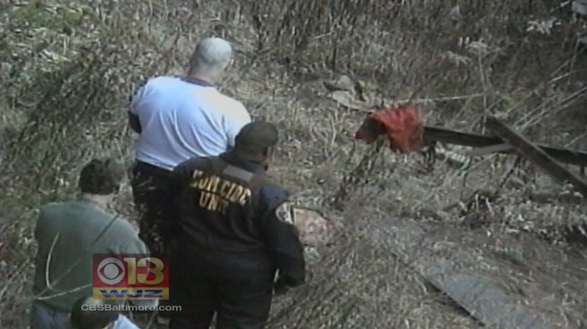 It tastes like pork It tastes like pork