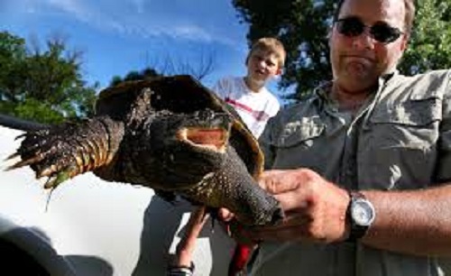 Many on twitter felt it was a ridiculous decision Many on twitter felt it was a ridiculous decision