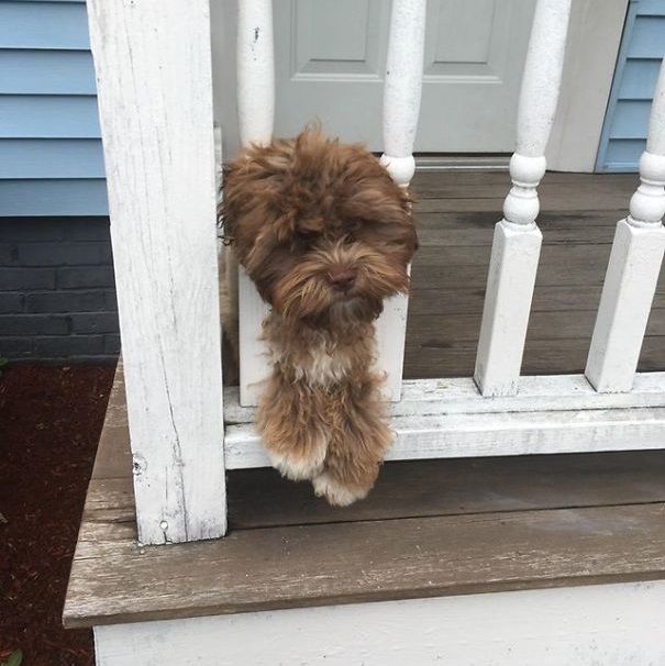 She never realized it She never realized it