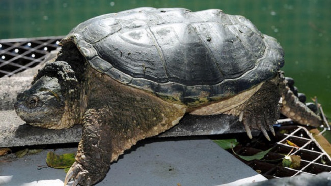 What the department of agriculture had to say What the department of agriculture had to say