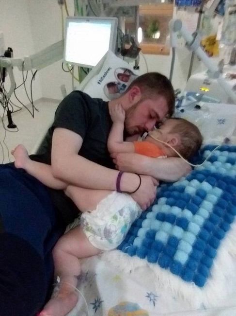 Alfie Army Alfie Army