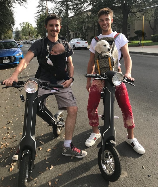 Companions Companions